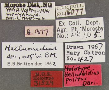 Media type: image;   Entomology 31524 Aspect: labels